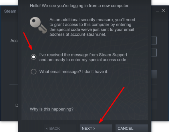 FIFA 22 STEAM PC ACCESS SHARED ACCOUNT OFFLINE